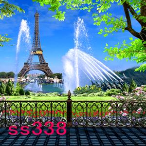 5'x8' SS338
